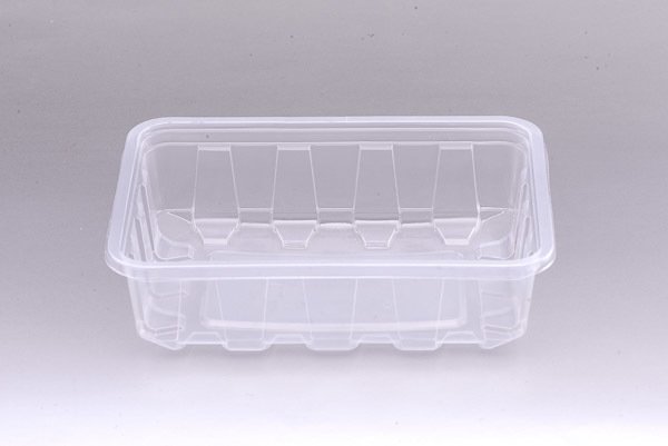 250 gram plastik kase 